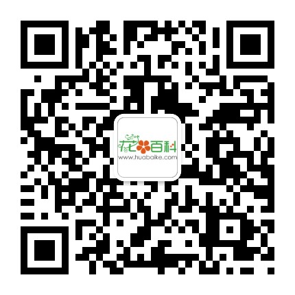 養(yǎng)花大全微信二維碼